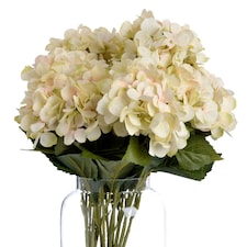 Hill Interiors Faux Hydrangea Bouquet - Cream/Green - One Size