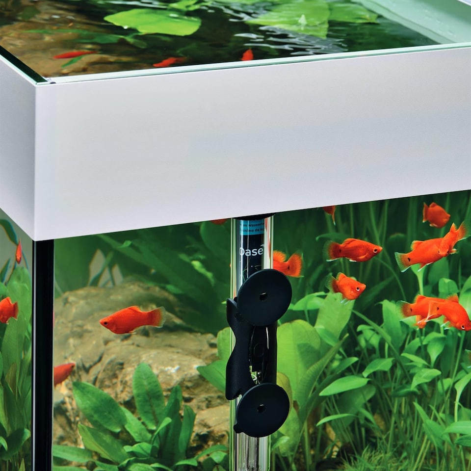 image 1 of Oase HeatUp Aquarium Heater 400 - 23 x 440 mm