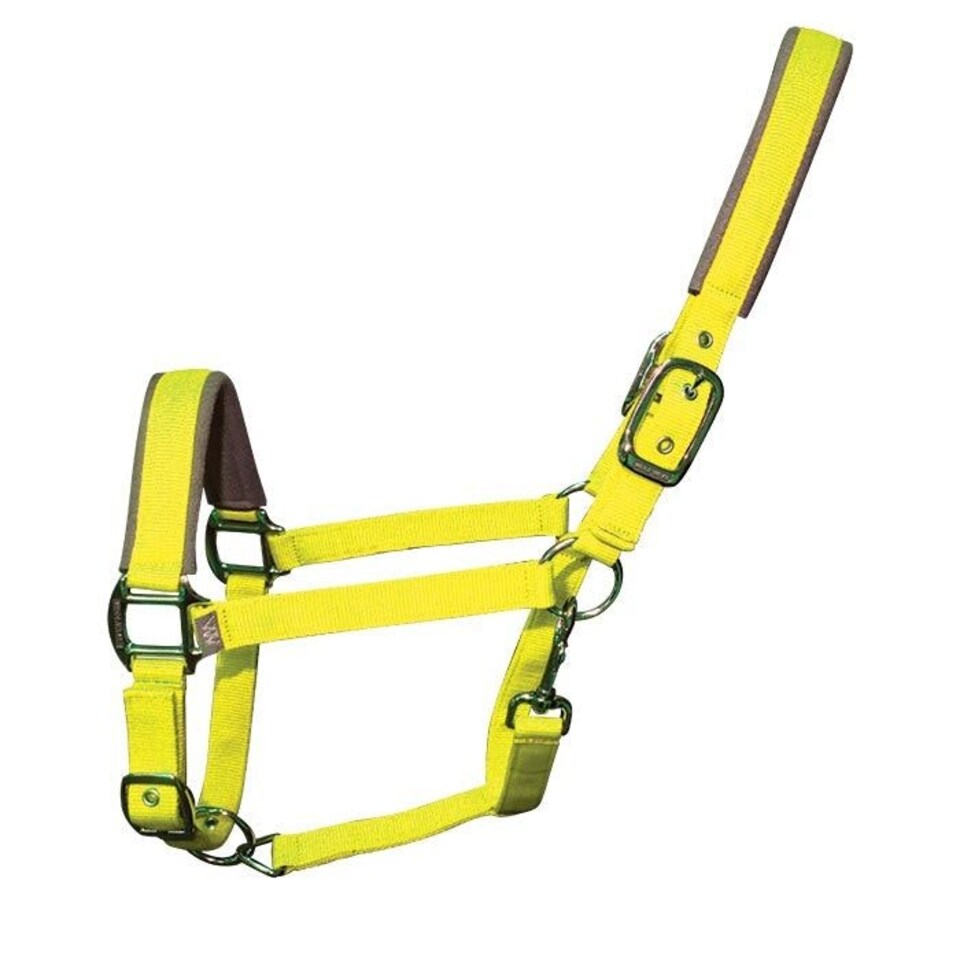 image 1 of Woof Wear Contour Head Collar Yellow | Size: Cob
Colour: Yellow