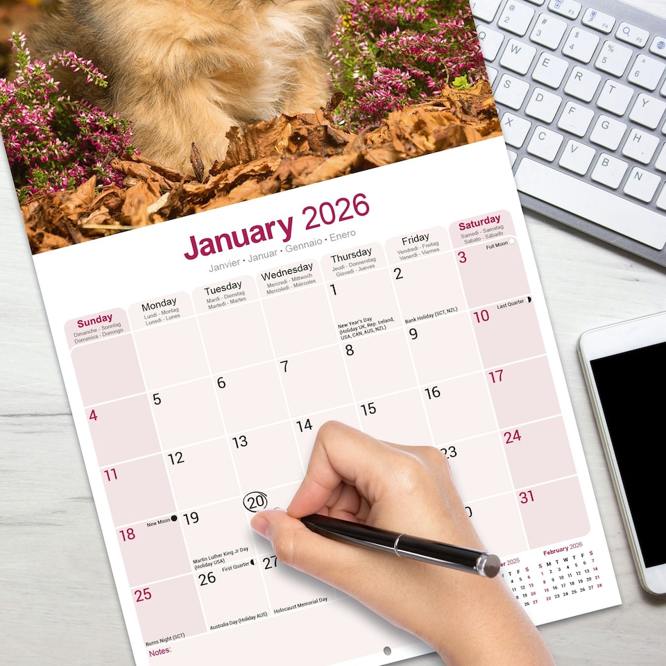 image 1 of Lhasa Apso 2026 Calendar | Square Wall Calendar | Dog Breed Gift | Plastic Free Packaging | by Avonside Publishing