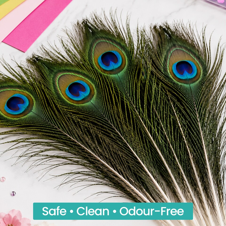 image 1 of Trimming Shop Real Peacock Feather, 10" - 12" Inch - 10pcs