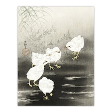 Chicks Birds Worms Vintage Japan Wall Art Print Ohara Koson 24x32"