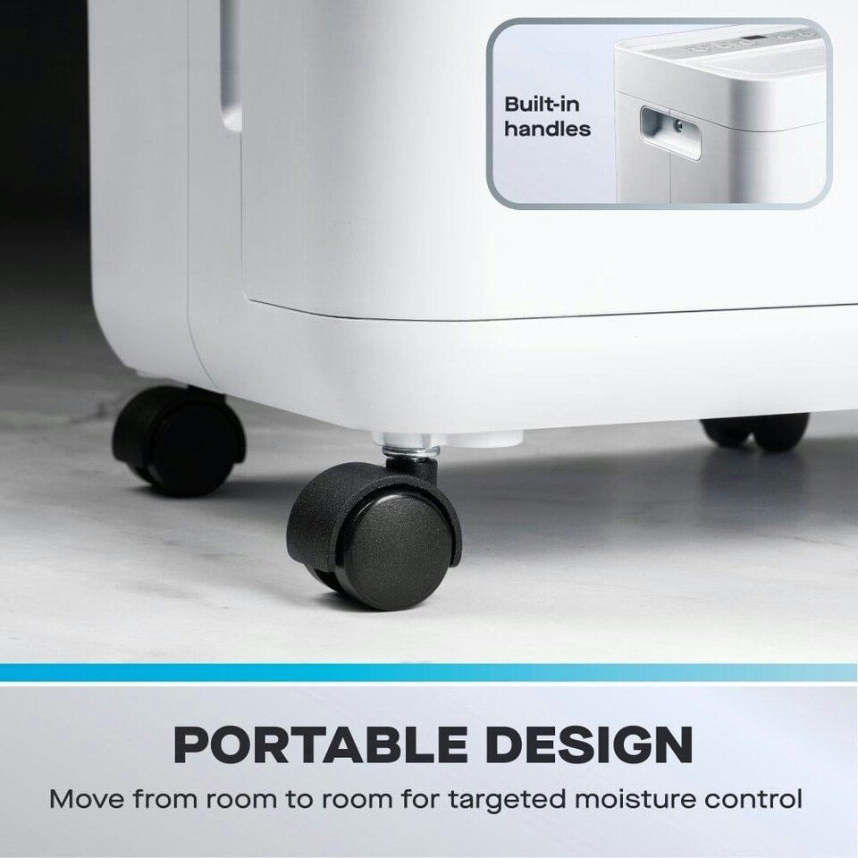 image 1 of 2-in-1 Daewoo 12L Dehumidifier & Air Purifier with Laundry, Quiet & Continuous Drain
