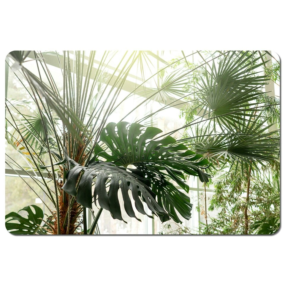 Green plants in botanical garde (Placemat)