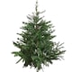 image 9 of 5ft (153cm) Premier Christmas Tree  Glenshee Spruce PE/PVC Natural Look