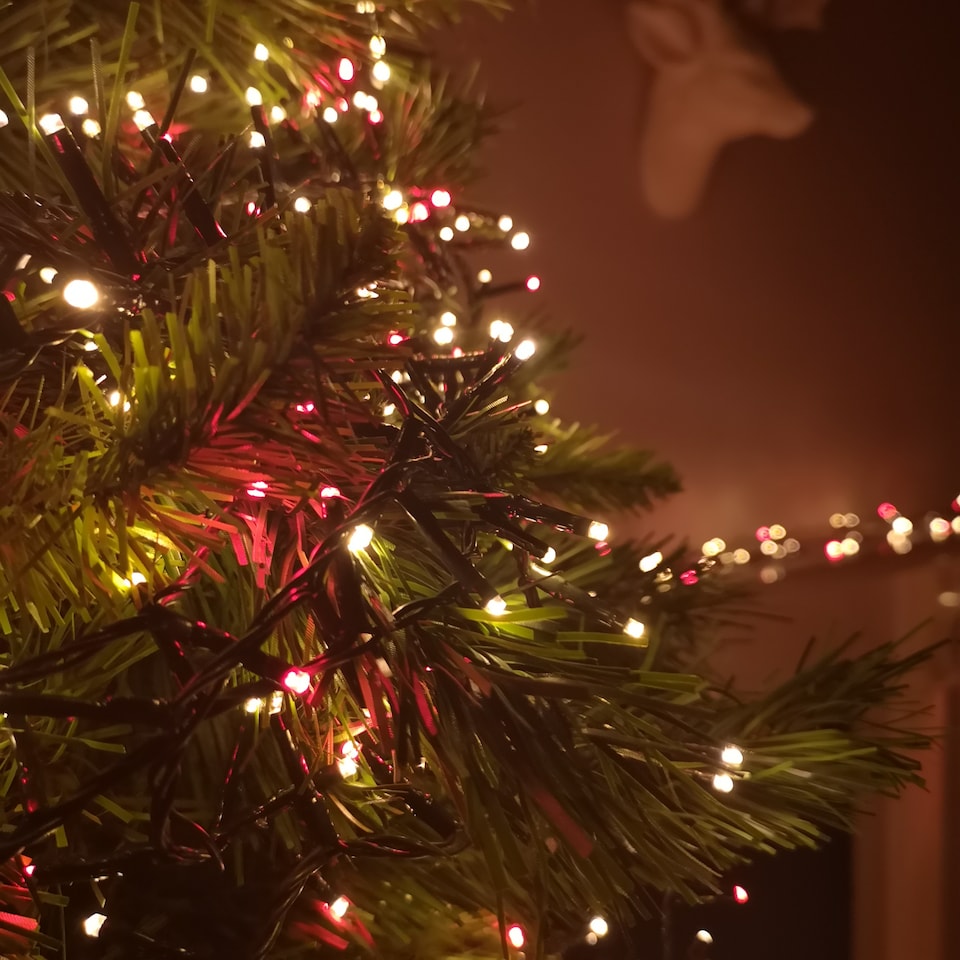 image 1 of 1500 LED 37.5m Premier TreeBrights Indoor Outdoor Christmas Multi Function Mains Operated String Lights with Timer in Red & Vintage Gold