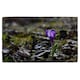 image 1 of autumn flower bloom in nature Designer Bath Towel | Multi