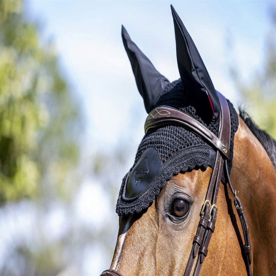image 1 of LeMieux Elite Fly Hood Blue | Medium