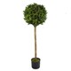 image 1 of Artificial Boxwood Buxus Topiary Tree 120cm Trunk | Green | 4ft