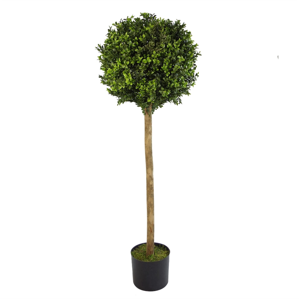 image 1 of Artificial Boxwood Buxus Topiary Tree 120cm Trunk | Green | 4ft
