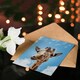 image 4 of Carol M Highsmith Art Card Funny Up Close Look At A Giraffe