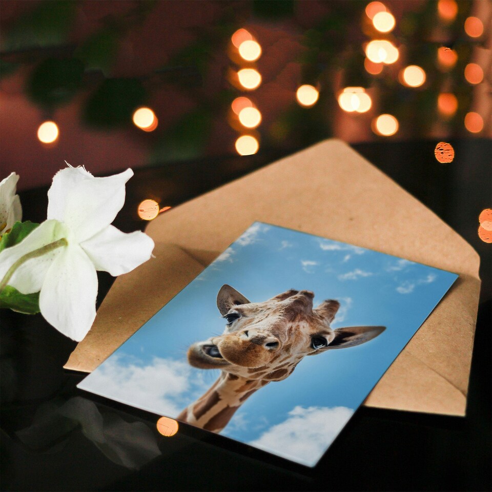 image 1 of Carol M Highsmith Art Card Funny Up Close Look At A Giraffe