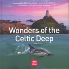 Wonders Of The Celtic Deep