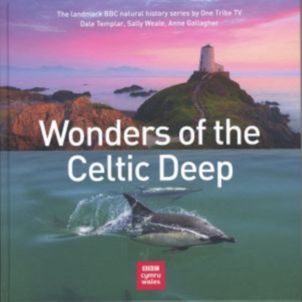 Wonders Of The Celtic Deep