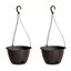 Brown & Set of 2