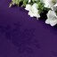 Purple - Selected