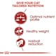image 4 of Royal Canin Cat Fit 32 10KG