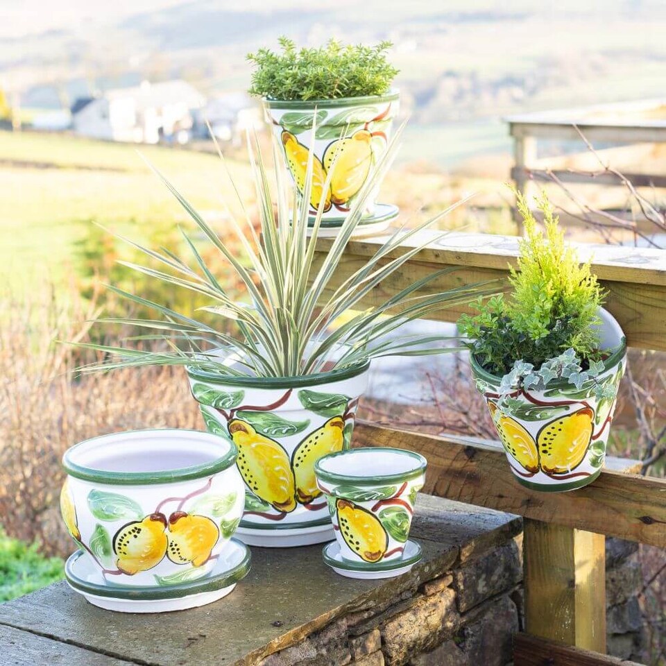 image 1 of Verano Spanish Ceramics Set of 3 Plant Pots & Drainage Plates - 16-29cm Lemons