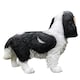 image 5 of Animal Crackers Cavalier King Charles Spaniel Figurine Home Or Garden Decoration