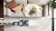 image 9 of VAX Platinum SmartWash Pet-Design Carpet Cleaner