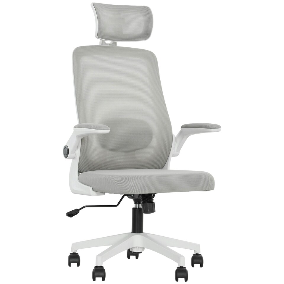 image 1 of HOMCOM Executive Mesh Office Chair with Headrest, Lumbar Support, Grey Black