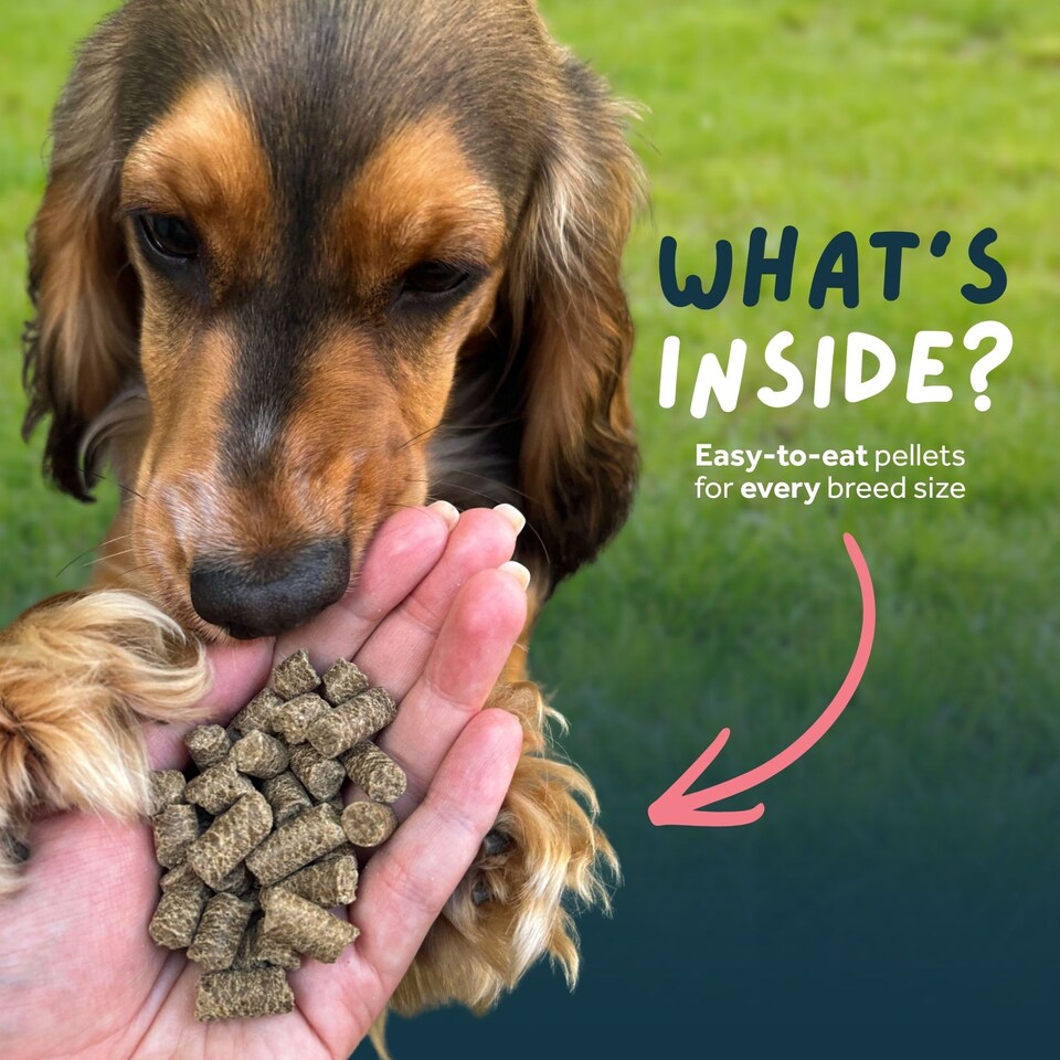 image 1 of Wilsons Lamb Cold Pressed Dog Food Natural Protein Balanced Nutrition Diet - 2kg bag