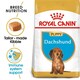 image 1 of Royal Canin Dachshund Puppy Dry Dog Food - 4 x 1.5 kg (6 kg) | Multi | 4 x 1.5kg | Quail, Dandelion | 4