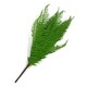 image 2 of 60cm Artificial Bushy Dixie Wood Fern Dark Green Plant