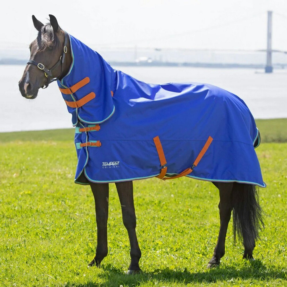 Tempest Original 50 Combo Neck Horse Turnout Rug - Royal Blue - 7 ...