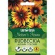 image 2 of Marshalls Garden Rudbeckia Seeds 'Autumn Colours' 25 seeds