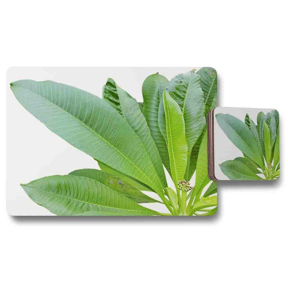 Collection Of Green Leaves On White Placemat & Coaster Set