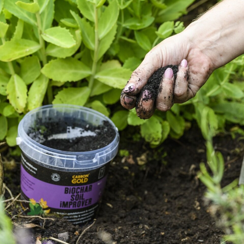image 1 of Carbon Gold Biochar Soil Improver, UK-sourced, Soil Association & Biodynamic Association Certified 1 litre