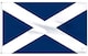 image 5 of Scotland Flag 5x3ft With Eyelets | Yellow