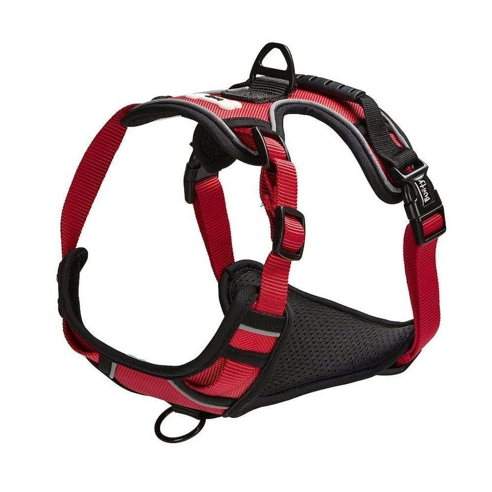 image 1 of Bunty Adventure Harness Pink | XL