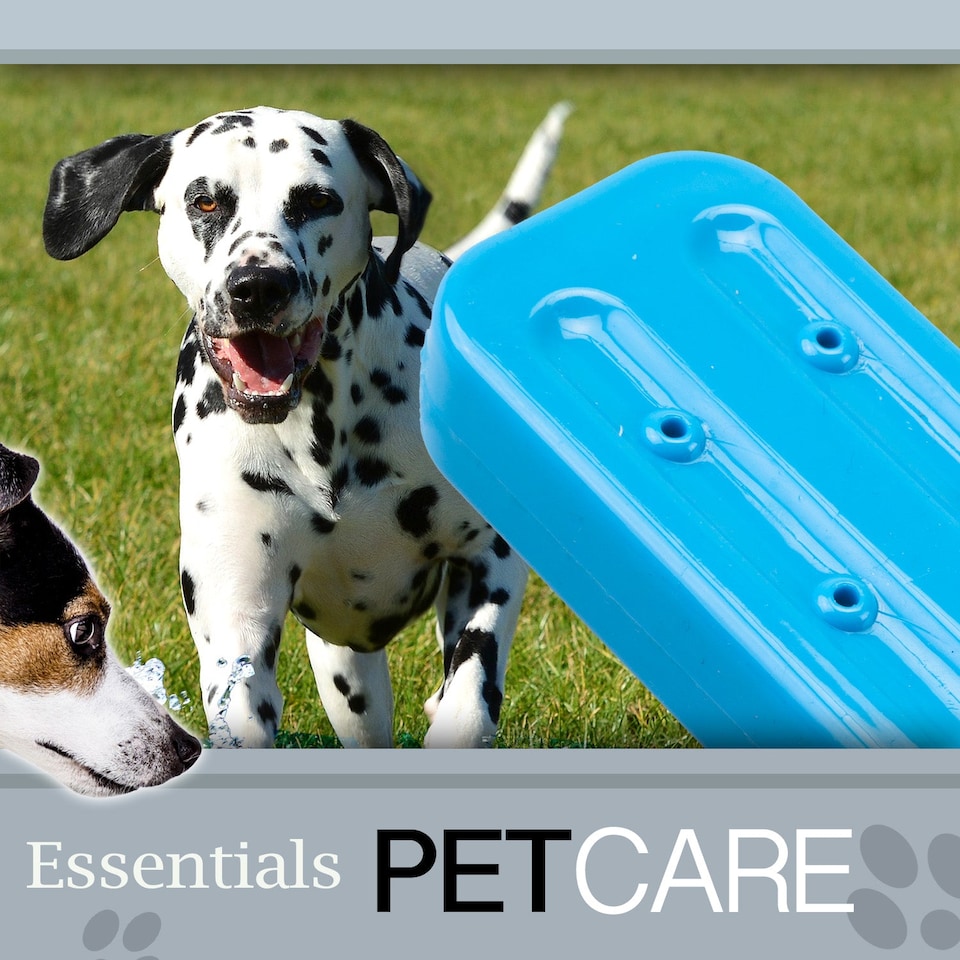image 1 of Crufts Cooling Dog Toy - Freezable, Chew-Resistant Summer Toy