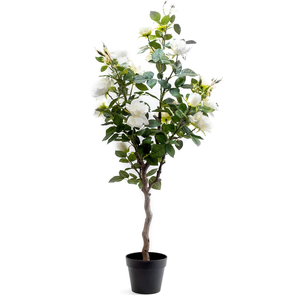 image 1 of Scottish Everlastings 126cm Artificial Rose Tree