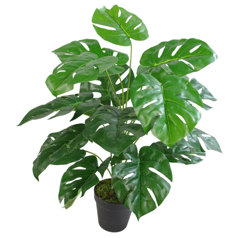 image 1 of 60cm Artificial Monstera Plant with Golden Metal Planter Included
