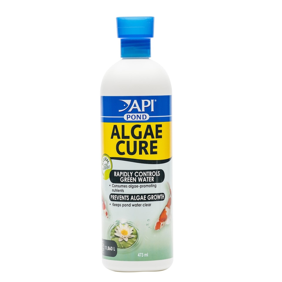 473ml API Pond Algae Cure Clears Green Water Fast and Prevents Algae ...