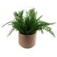 image 5 of Dusty Pink Raised Dots Ceramic Plant Pot 15 x 15 x 12.5cm | Pink