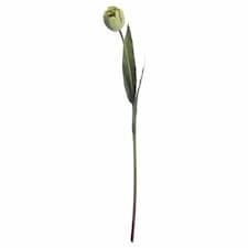 Tulip Artificial Flower - Plastic - L8 x W8 x H50 cm - Green