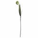 image 1 of Tulip Artificial Flower - Plastic - L8 x W8 x H50 cm - Green