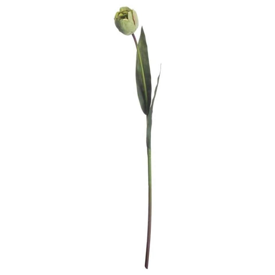 image 1 of Tulip Artificial Flower - Plastic - L8 x W8 x H50 cm - Green