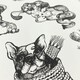 image 1 of Pooches White Wallpaper White | White