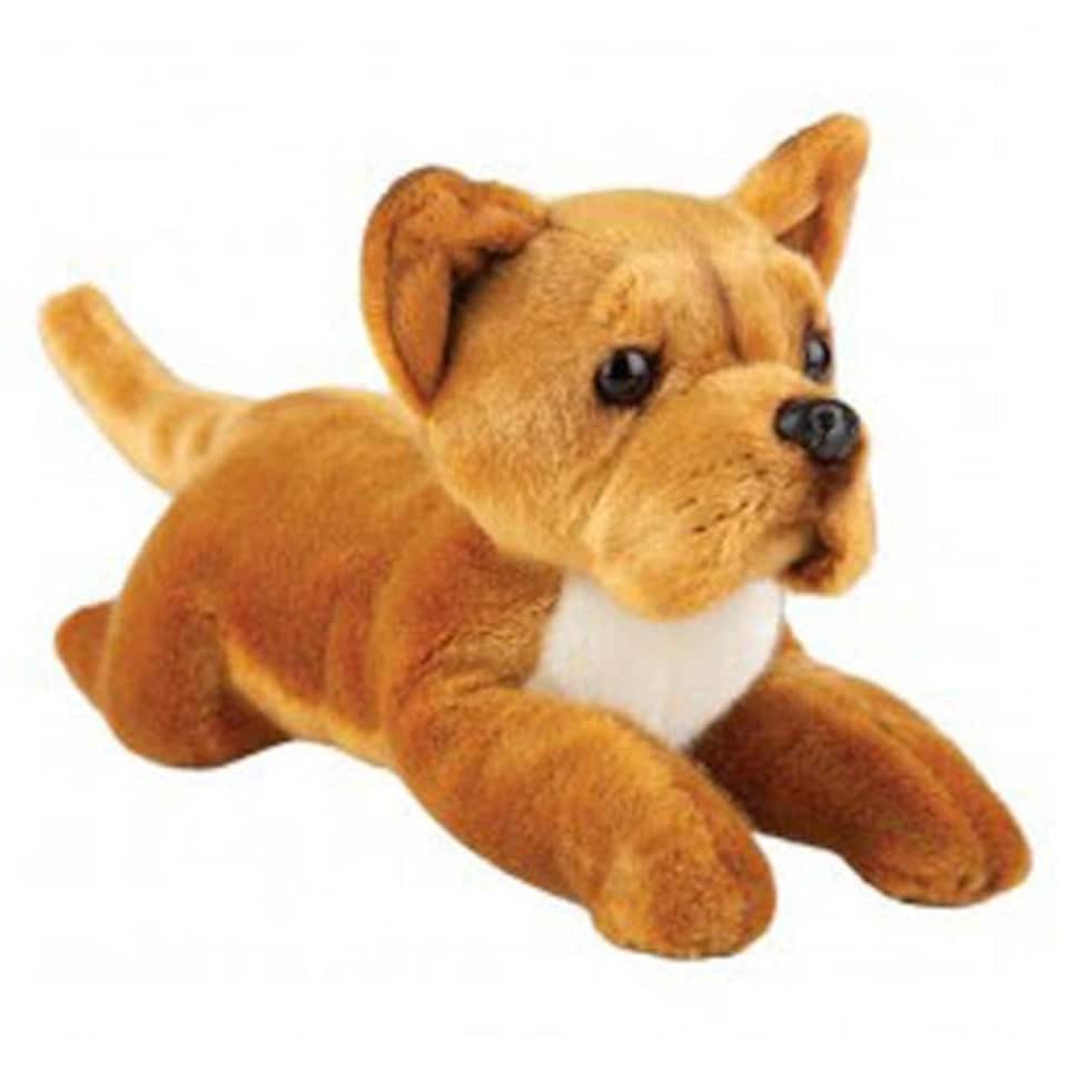 30Cm Lying Staffords Terrier