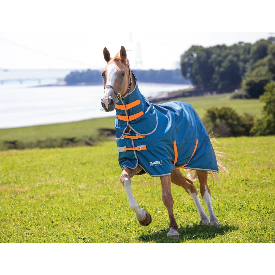 image 1 of Tempest Original Lite Horse Turnout Rug & Neck Cover Set | Blue | Teal | 6Ft | 1