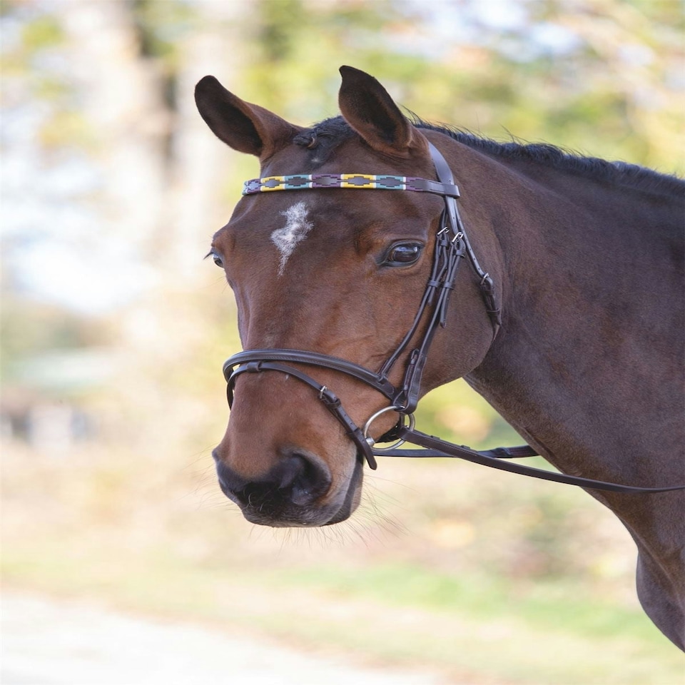 image 1 of Shires Blenheim Leather Polo Browband Red | Size: Pony
Colour: Red/Navy