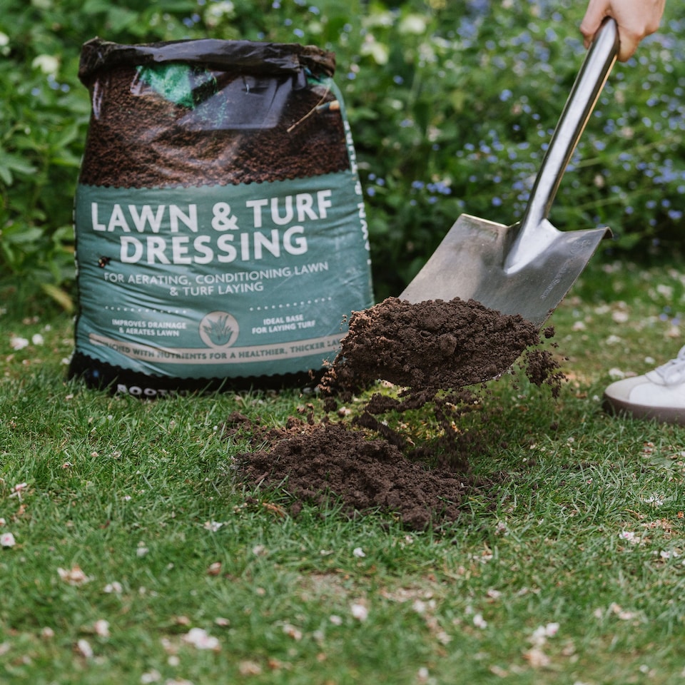 image 1 of Westland Lawn & Turf Dressing - 25L