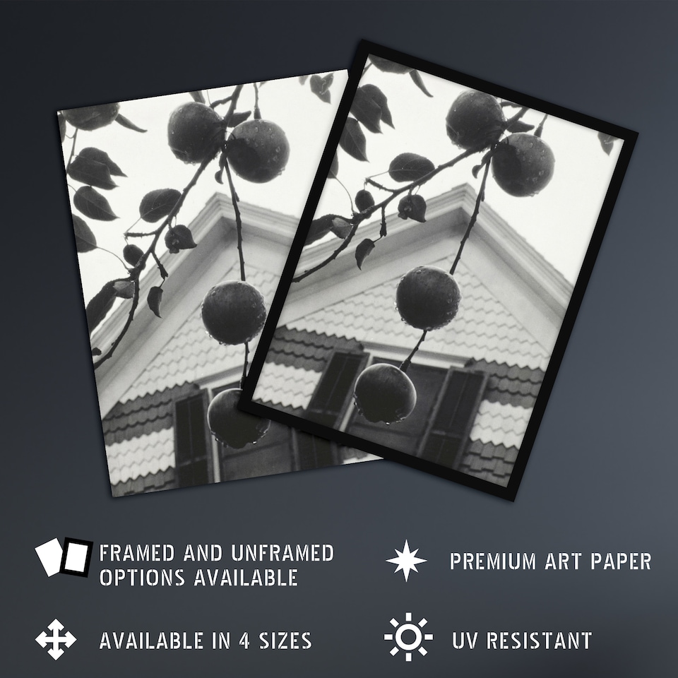 image 1 of Gable and Apples Photograph Alfred Stieglitz Huge Wall Art Poster Print 24X32"