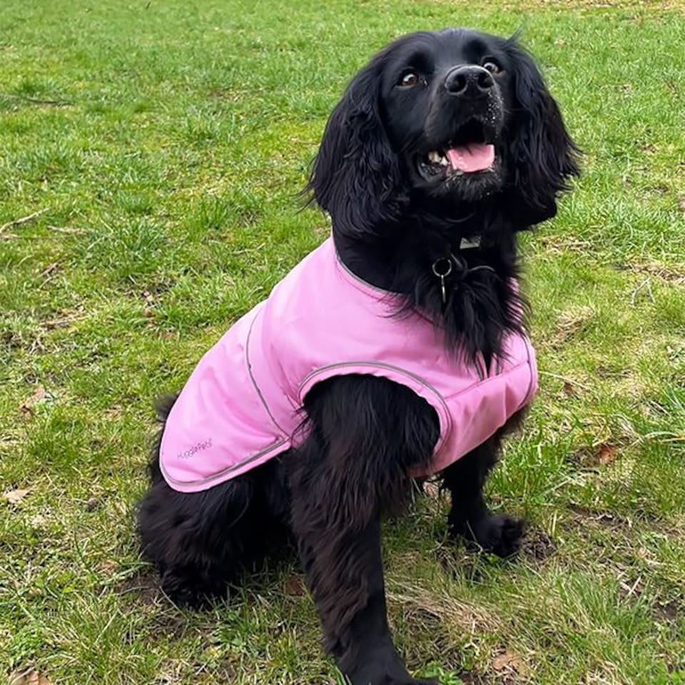 image 1 of HugglePets Arctic Armour Dog Coat | Black | M