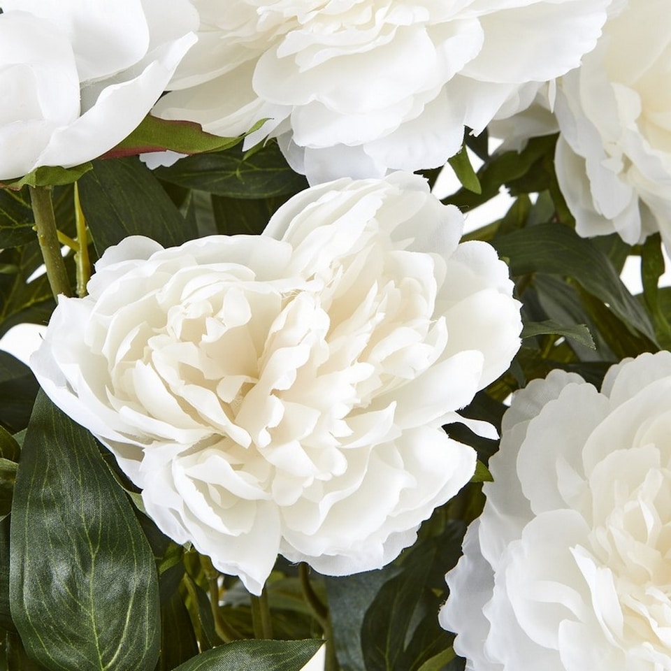 image 1 of Large Peony Plant in Pot - Plastic - L46 x W46 x H71 cm - White